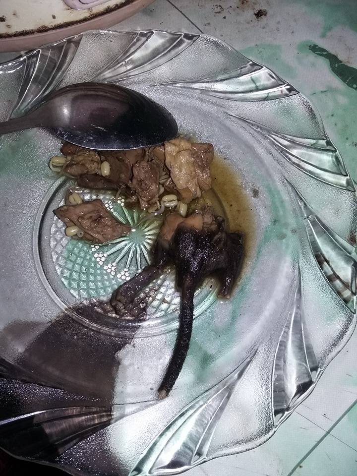 Heboh rawon pakai daging tikus! Kalau bener, tega banget penjualnya Heboh rawon pakai daging tikus! Kalau bener, tega banget penjualnya