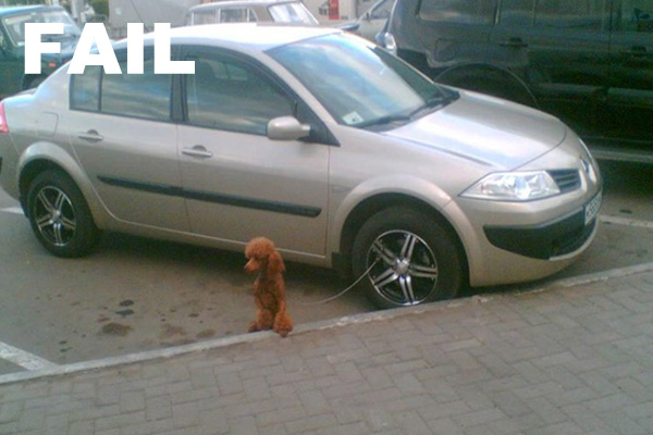 15 Foto kocak ini buktikan kenapa AS males bikin ulah sama Rusia