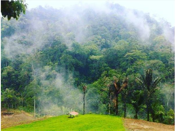 Ini lho 'Grand Canyon' Indonesia yang ada di Brebes, Jawa Tengah 