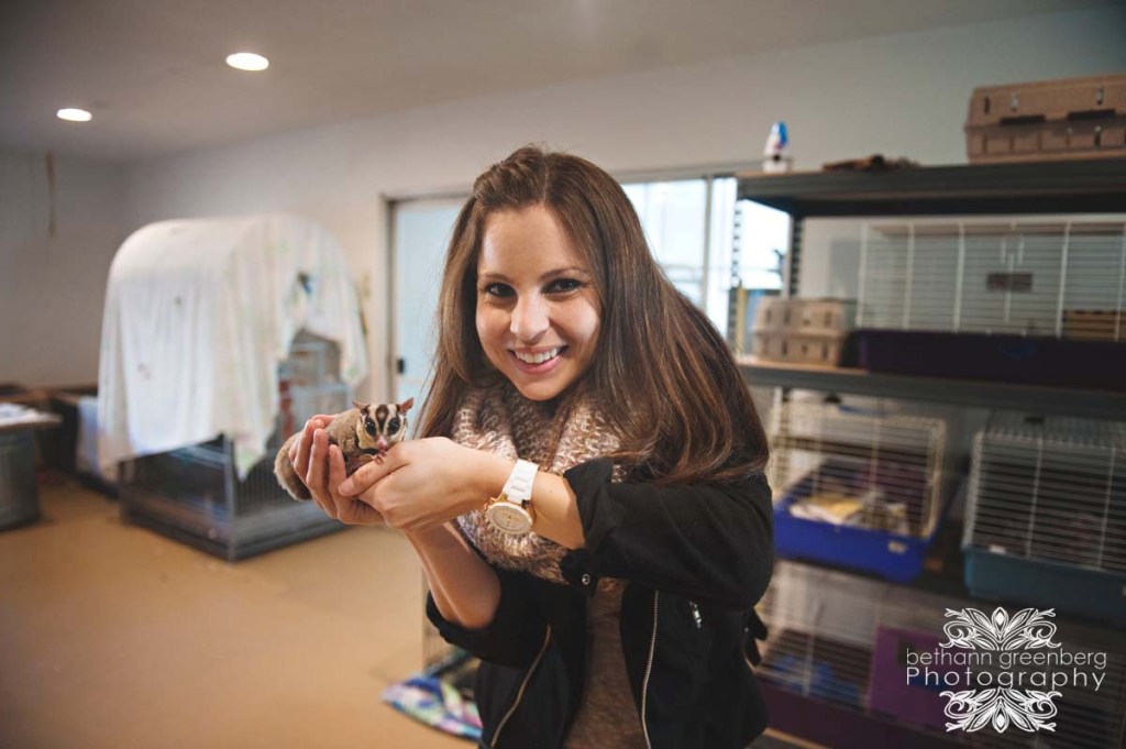 10 Fakta tentang Sugar Glider, 'kanguru' kecil yang jadi peliharaan 10 Fakta tentang Sugar Glider, 'kanguru' kecil yang jadi peliharaan