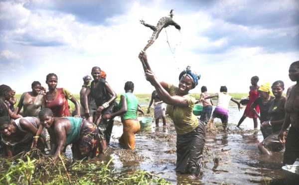 25 Foto konyol dan kocak ini cuma bisa kamu temui di Afrika