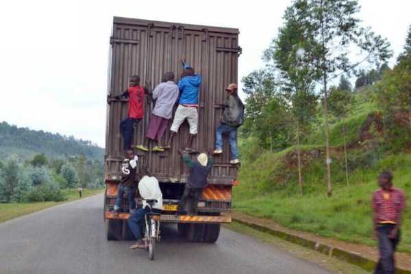 25 Foto konyol dan kocak ini cuma bisa kamu temui di Afrika