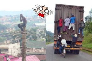 25 Foto konyol dan kocak ini cuma bisa kamu temui di Afrika