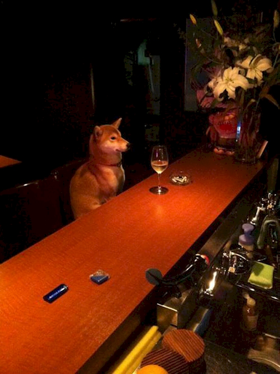 13 Pose selfie nyeleneh banget ini bikin ketawa ngakak, berani coba? 13 Pose selfie nyeleneh banget ini bikin ketawa ngakak, berani coba?