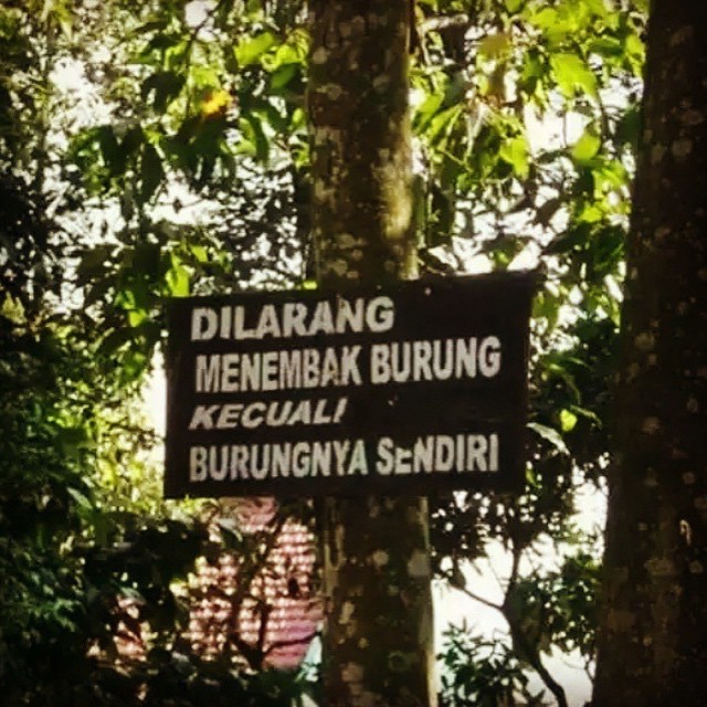 19 Meme kelakuan anak gunung ini dijamin bikin kamu geli sendiri