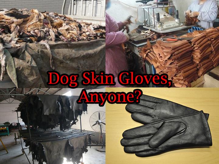 17 Foto brutalnya manusia bantai satwa! Jangan lihat jika ciut nyali!