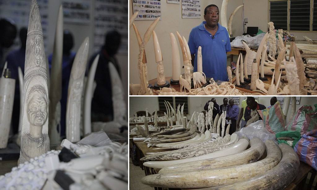 17 Foto brutalnya manusia bantai satwa! Jangan lihat jika ciut nyali!