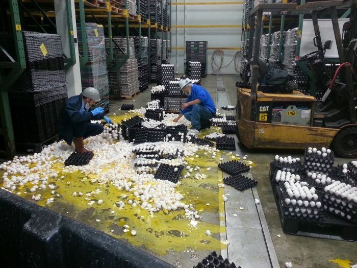 30 Momen ketiban sial yang bikin ketawa ngakak, lho kok?