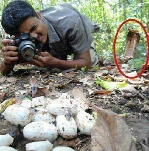 30 Momen ketiban sial yang bikin ketawa ngakak, lho kok?