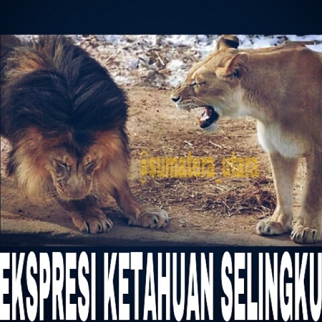 30 Meme kocak soal selingkuh bikin ngakak, awas jangan ditiru lho ya? 30 Meme kocak soal selingkuh bikin ngakak, awas jangan ditiru lho ya?