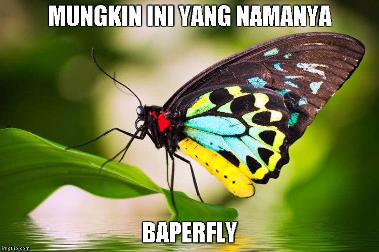 19 Meme 'baper' ini lucu banget, bikin yang sedih jadi ketawa ngakak!
