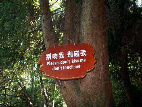 Dijamin bingung, ini 15 terjemahan lucu Bahasa China ke Bahasa Inggris Dijamin bingung, ini 15 terjemahan lucu Bahasa China ke Bahasa Inggris