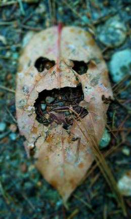 Siapa sangka, 13 benda sepele ini bisa bikin kamu merinding melihatnya