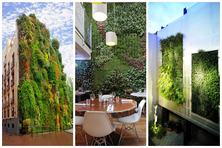 Hiasi dinding pakai wallpaper itu biasa! Pakai tanaman, baru keren!