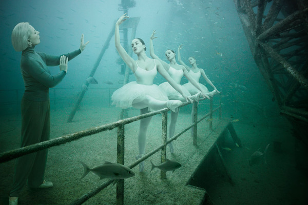 9 Gambar di galeri bawah laut ini tampak nyata, bikin takjub!