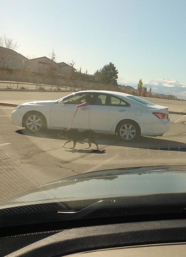 Duh, 18 foto ini tingkah laku orang yang mager abis, kamu pernah?  Duh, 18 foto ini tingkah laku orang yang mager abis, kamu pernah?