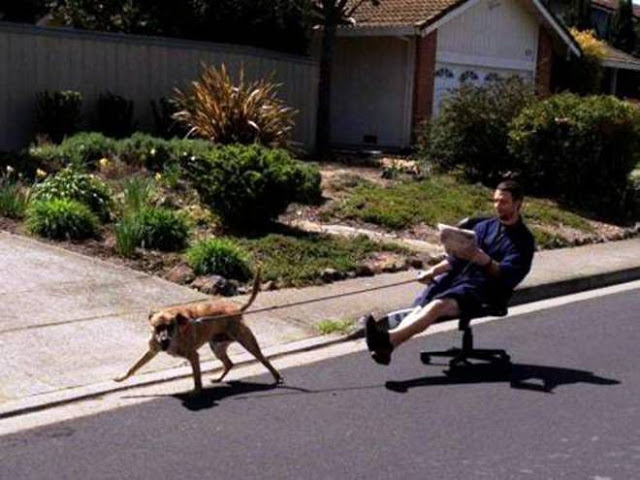 Duh, 18 foto ini tingkah laku orang yang mager abis, kamu pernah?  Duh, 18 foto ini tingkah laku orang yang mager abis, kamu pernah?