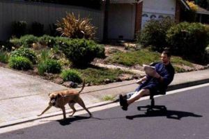 Duh, 18 foto ini tingkah laku orang yang mager abis, kamu pernah? 