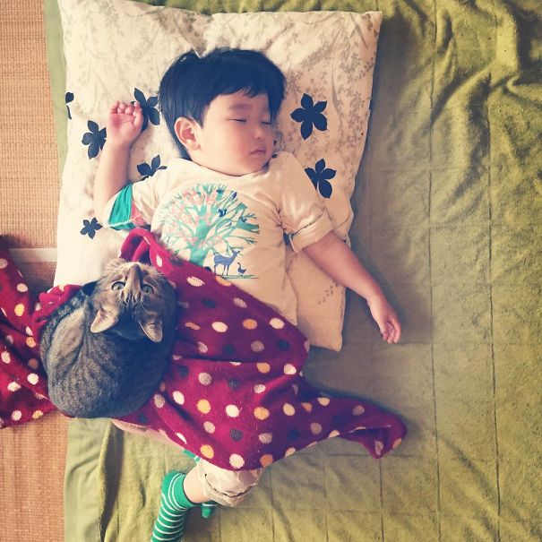 20 Foto balita lagi asyik main bareng kucing, lucunya dobel!