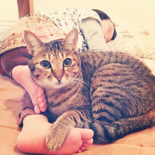 20 Foto balita lagi asyik main bareng kucing, lucunya dobel!