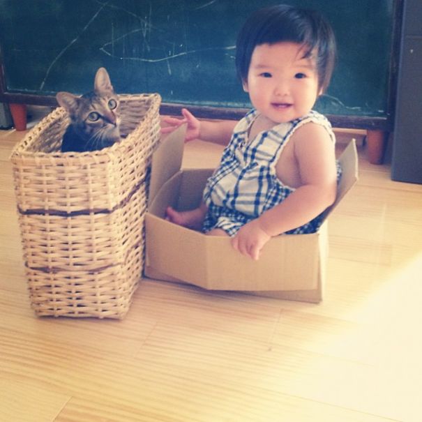 20 Foto balita lagi asyik main bareng kucing, lucunya dobel!