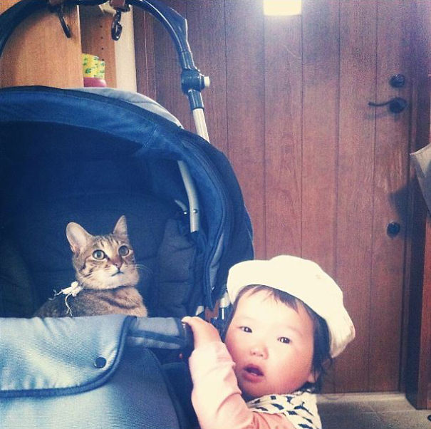 20 Foto balita lagi asyik main bareng kucing, lucunya dobel!