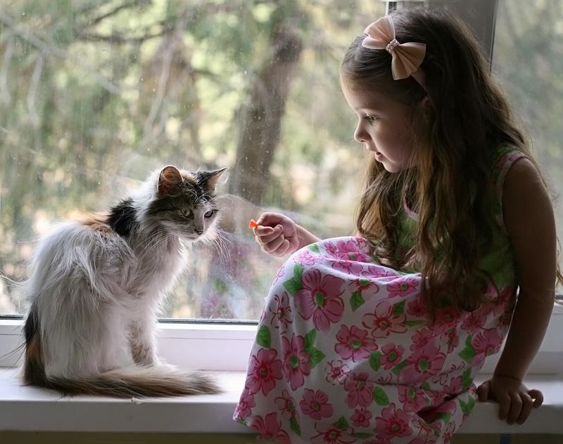 20 Foto balita lagi asyik main bareng kucing, lucunya dobel!