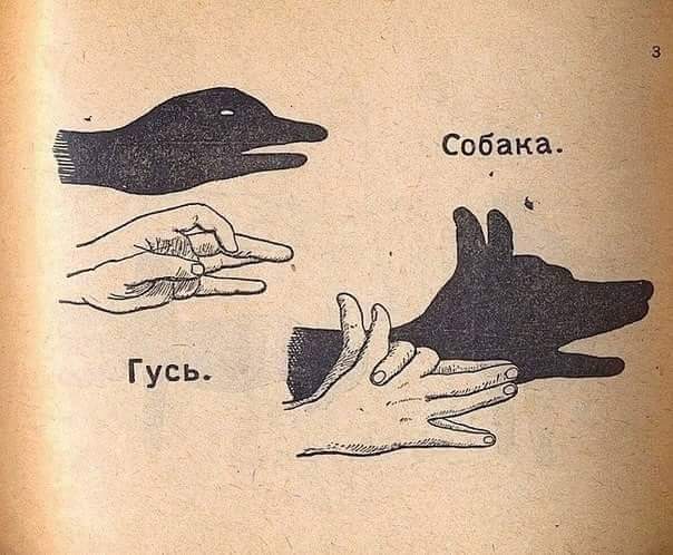 Ini cara seru main bayangan saat lampu padam, dijamin nggak mati gaya