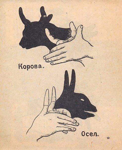 Ini cara seru main bayangan saat lampu padam, dijamin nggak mati gaya