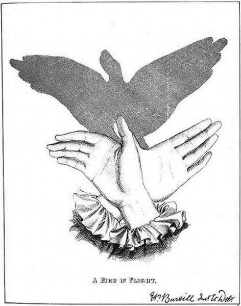 Ini cara seru main bayangan saat lampu padam, dijamin nggak mati gaya