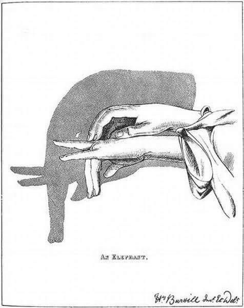 Ini cara seru main bayangan saat lampu padam, dijamin nggak mati gaya