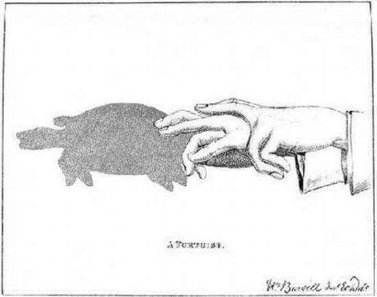 Ini cara seru main bayangan saat lampu padam, dijamin nggak mati gaya