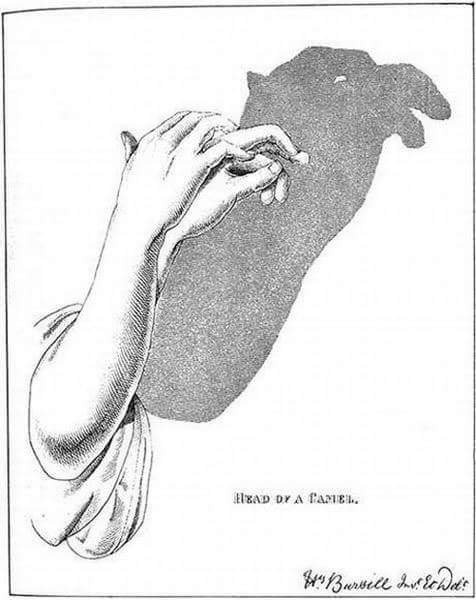 Ini cara seru main bayangan saat lampu padam, dijamin nggak mati gaya