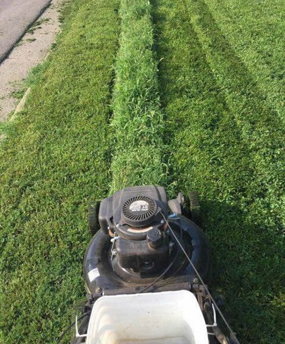 gambar kesempurnaan © 2016 brilio.net