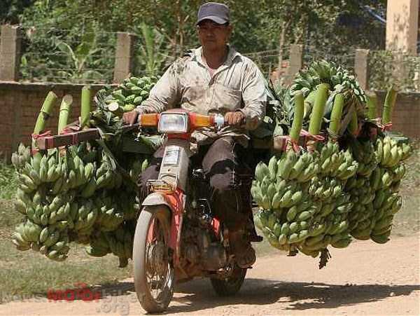 26 Pemotor nekat © 2016 brilio.net