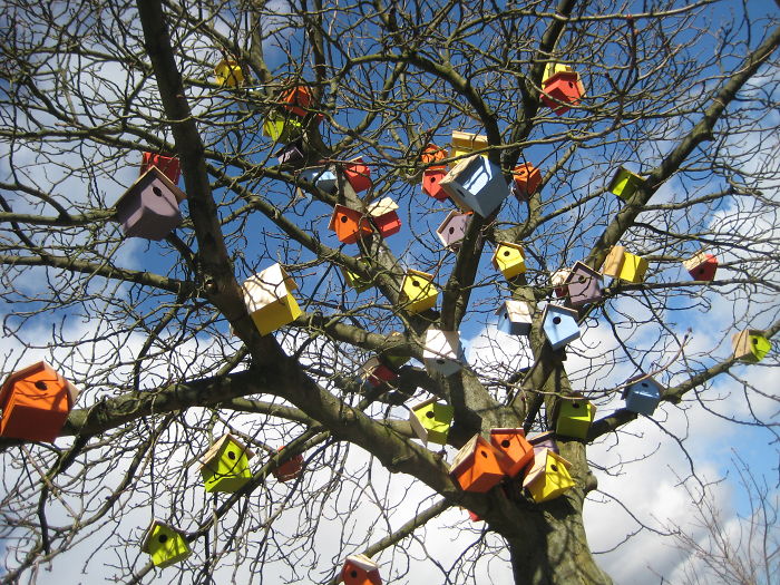 13 Rumah burung ini ternyata terbuat dari kayu bekas, keren ya!