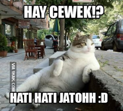 28 Meme hewan ngomong © 2016 brilio.net