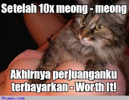 28 Meme hewan ngomong © 2016 brilio.net