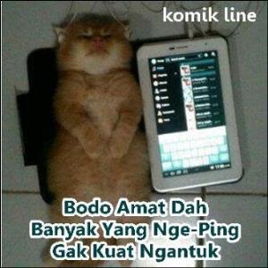 28 Meme hewan ngomong © 2016 brilio.net