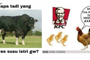 28 Meme kata-kata gokil andai binatang bisa ngomong, bikin ngakak!