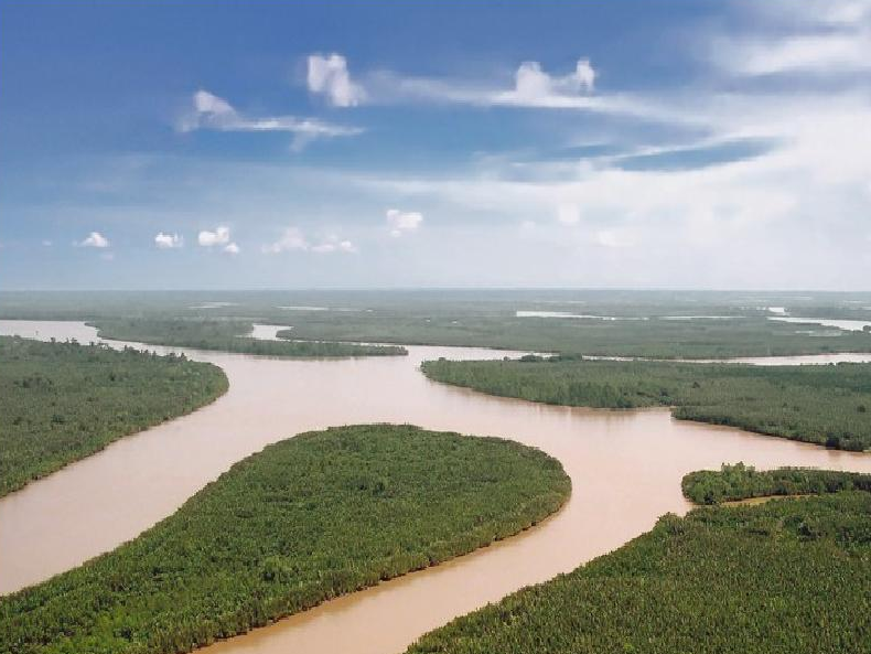 5 Kembaran Sungai Amazon Ini Ada Di Indonesia Ada Di Mana Saja Y