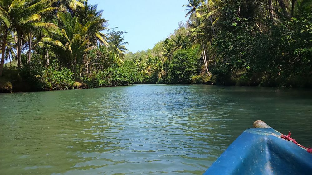 5 Kembaran Sungai Amazon ini ada di Indonesia, ada di mana saja ya? 