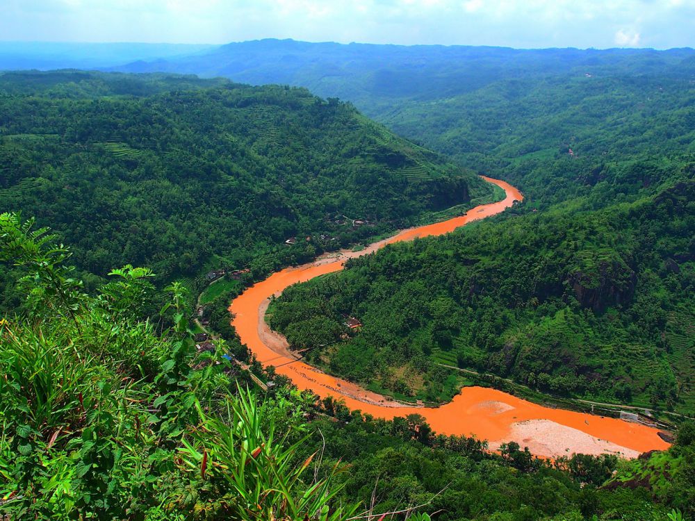5 Kembaran Sungai Amazon ini ada di Indonesia, ada di mana saja ya? 