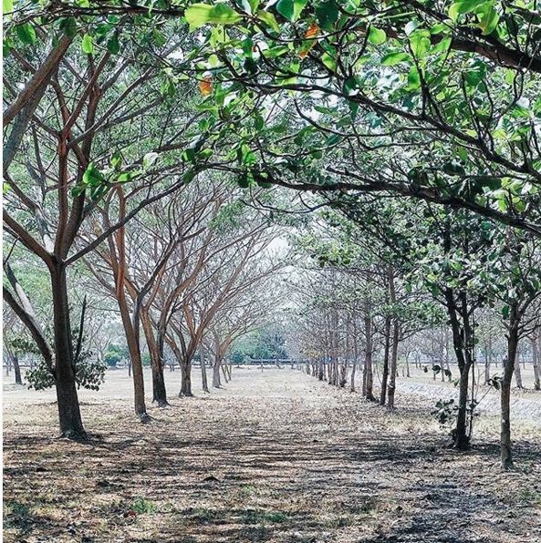 insta surabaya © 2016 brilio.net