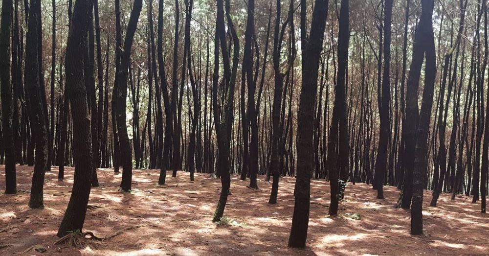 wisata sukabumi kece © 2016 brilio.net