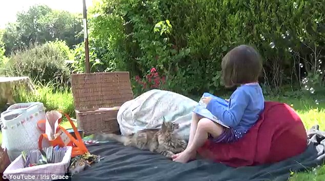 Kisah haru gadis kecil penderita autis ini belajar bicara dari kucing