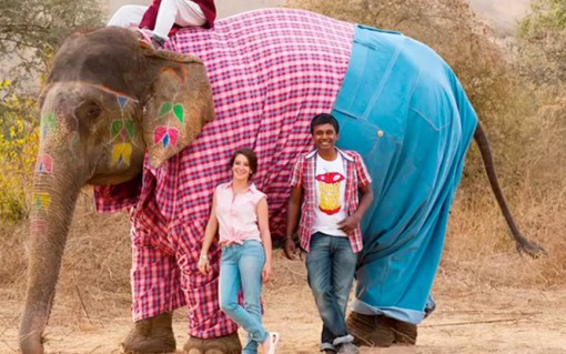 10 Hewan ini penampilannya tak biasa, dijamin lucu & ngegemesin banget