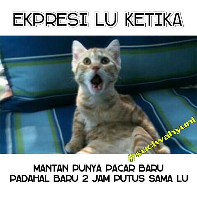 25 Meme mantan cakep © 2016 brilio.net