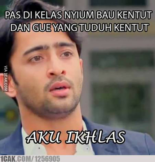 meme shaheer  berbagai sumber meme shaheer  berbagai sumber