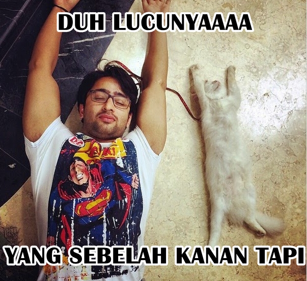 meme shaheer  berbagai sumber meme shaheer  berbagai sumber
